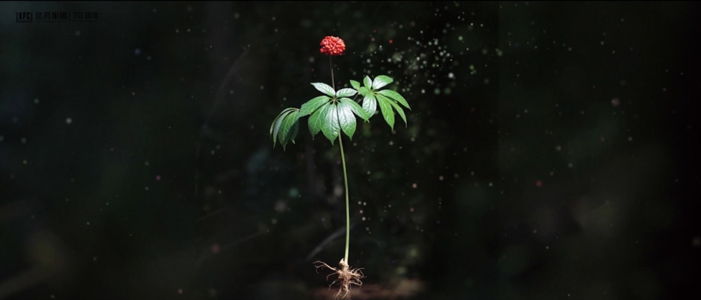 聽，三七在說話